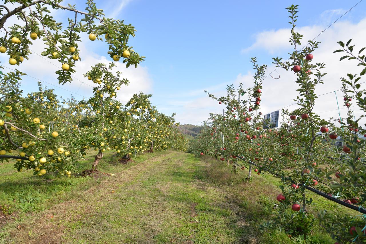 Shinshu Yokoya Farm Apartment Matsumoto Bagian luar foto